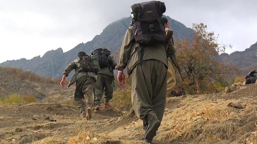 İkna edilen 5 PKK'lı terörist teslim oldu