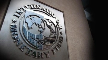 IMF, küresel kamu borcunun bu yıl yüksek kalmaya devam etmesini bekliyor