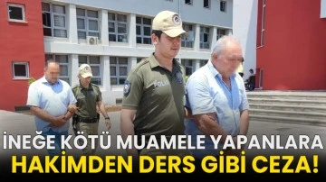 İneğe kötü muamele yapanlara hakimden ders gibi ceza!