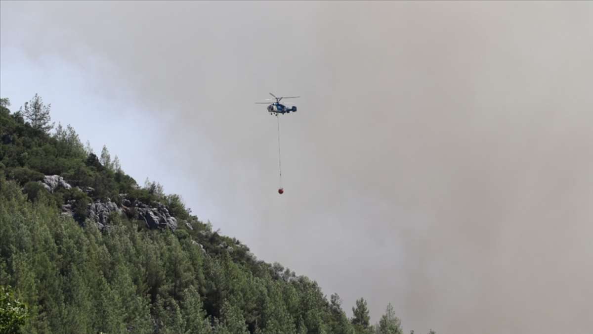 İran'daki Azerbaycan Türklerinden orman yangınlarıyla mücadele eden Türkiye'ye destek