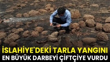 İslahiye'deki tarla yangını en büyük darbeyi çiftçiye vurdu