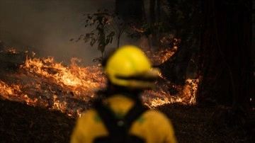 İspanya'nın Kanarya Adaları'ndaki orman yangını nedeniyle 3 binden fazla kişi tahliye edil