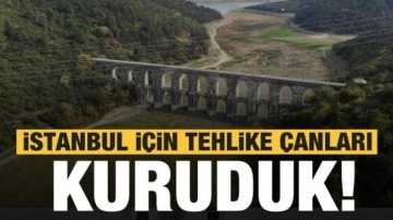 İstanbul için tehlike çanları! Alibeyköy Barajı kurudu