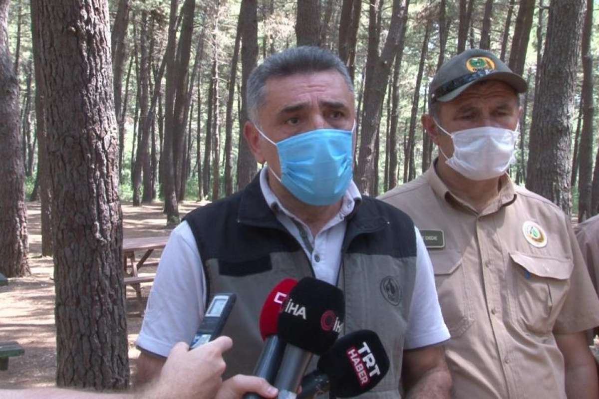 İstanbul Orman Bölge Müdürü Yusuf Şahin'den orman yasakları ile ilgili açıklama