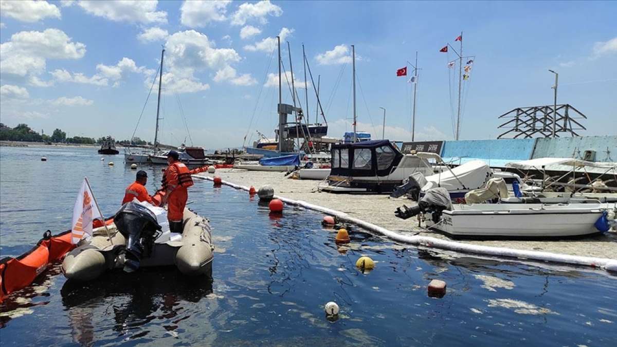 İstanbul ve İzmit Körfezi'nde müsilaj temizleme çalışmaları devam ediyor