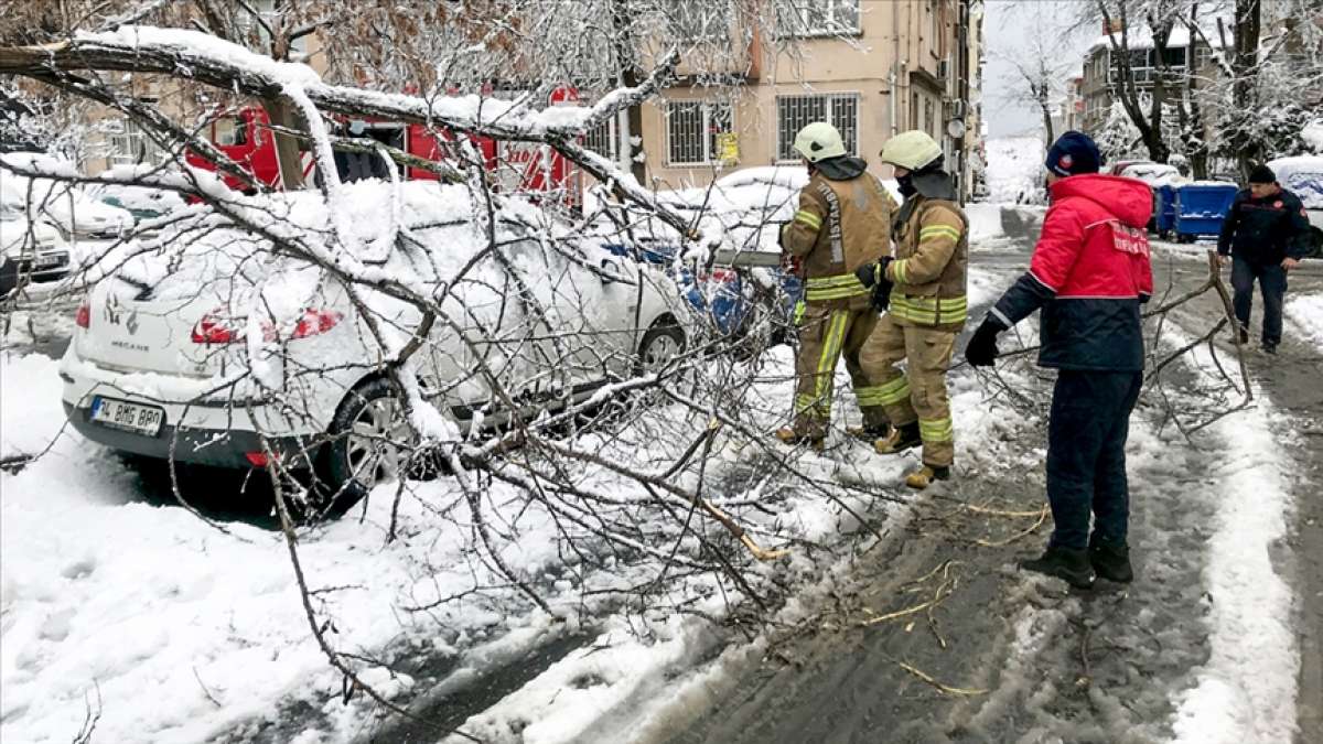 İstanbul'da kar yağışı ve fırtınada 517 ağaç ve direk devrildi