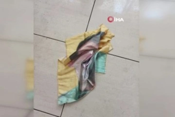 İstanbul’da Yeşil Sol Parti mitingine katılan PKK üyesi Öcalan flamasıyla yakalandı