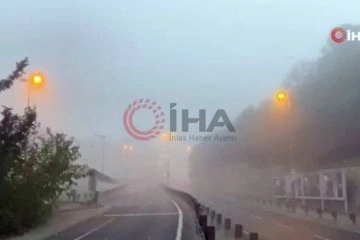 İstanbul'daki yoğun sis vapur seferlerini sekteye uğrattı