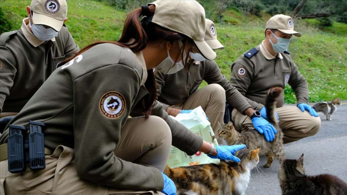 İstanbul'un çevre, doğa ve hayvanları koruma polisleri Adalar'da görev başında