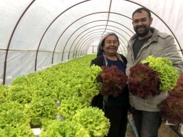 İstanbul’un kalabalığından kaçtı memleketinde topraksız tarıma başladı