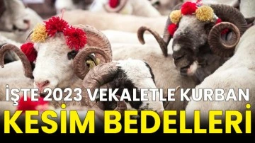 İşte 2023 vekaletle kurban kesim bedelleri