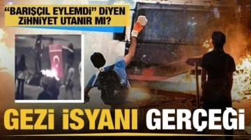 İşte Gezi isyanı gerçeği... "Barışçıl eylemdi&rdquo; diyen zihniyet utanır mı?