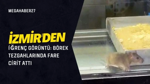 İzmir'den iğren&ccedil; g&ouml;r&uuml;nt&uuml;: B&ouml;rek tezgahlarında fare cirit attı