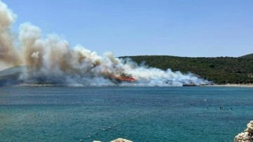 İzmir, Muğla ve Kahramanmaraş'ta korkutan yangın!
