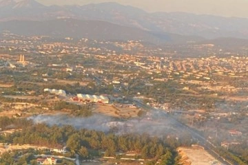 İzmir’de ağaçlık alanda yangın