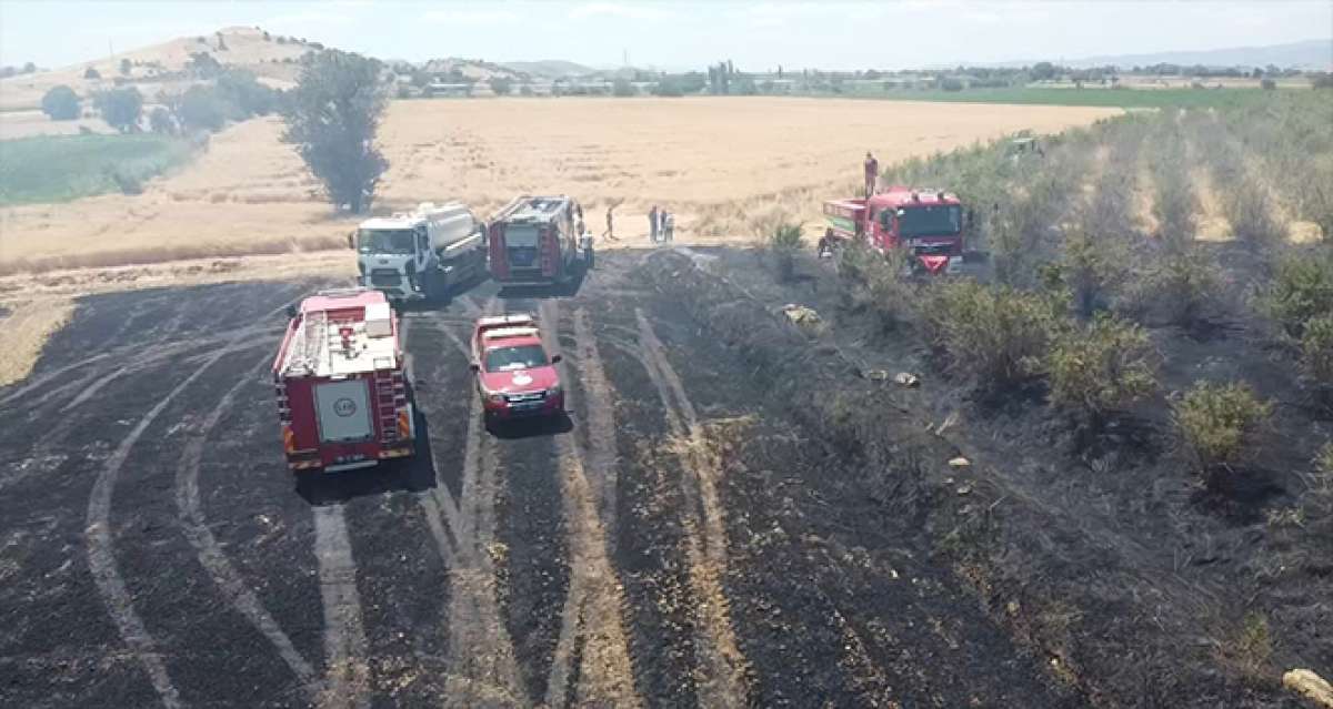 İzmir'de büyük arazi yangını: 40 dönüm arazi kül oldu