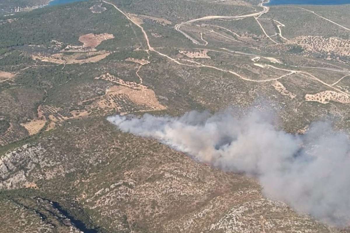 İzmir'de iki ayrı bölgede orman yangını: Havadan ve karadan müdahale başladı