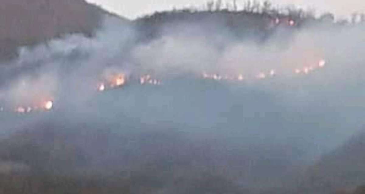 İzmir'de orman yangını: 500 kestane ve meşe ağacı yandı