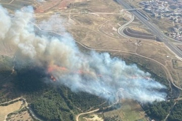 İzmir'de ormanlık alanda çıkan yangına 6 uçakla müdahale