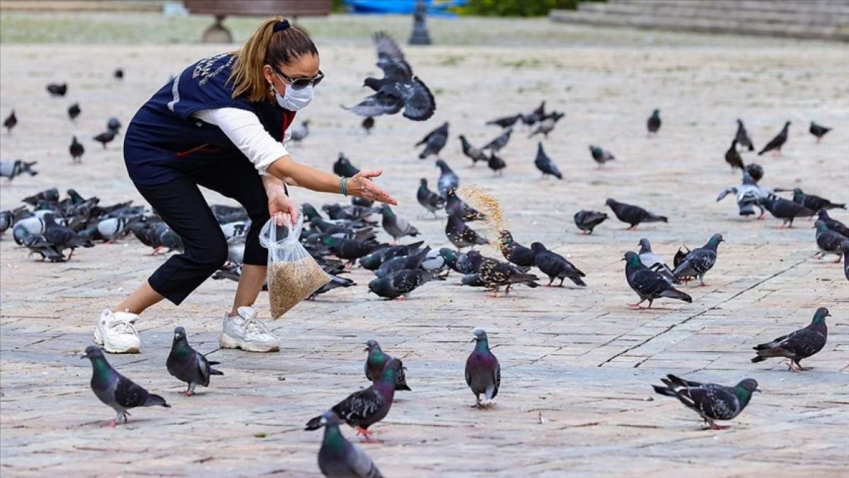 İzmir'de salgın sürecinde sokak hayvanlarına yaklaşık 110 ton mama bırakıldı
