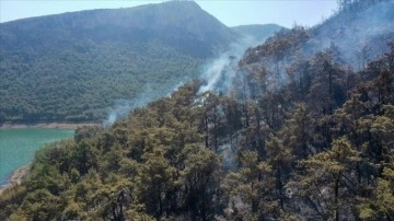 İzmir'deki orman yangınında 260 hektar alan zarar gördü