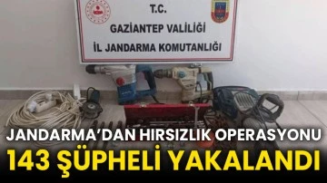 Jandarma’dan hırsızlık operasyonu 143 şüpheli yakalandı