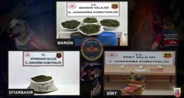 Jandarma uyuşturucu satıcılarına g&ouml;z a&ccedil;tırmıyor: 4 ş&uuml;pheli yakalandı