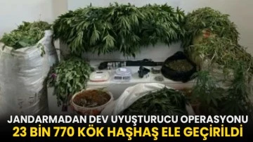 Jandarmadan dev Uyuşturucu operasyonu: 23 bin 770 kök haşhaş ele geçirildi
