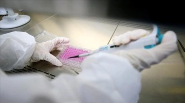 Japon bilim insanları yaşlılıkla türeyen 'zombi hücrelere' karşı aşı üretti