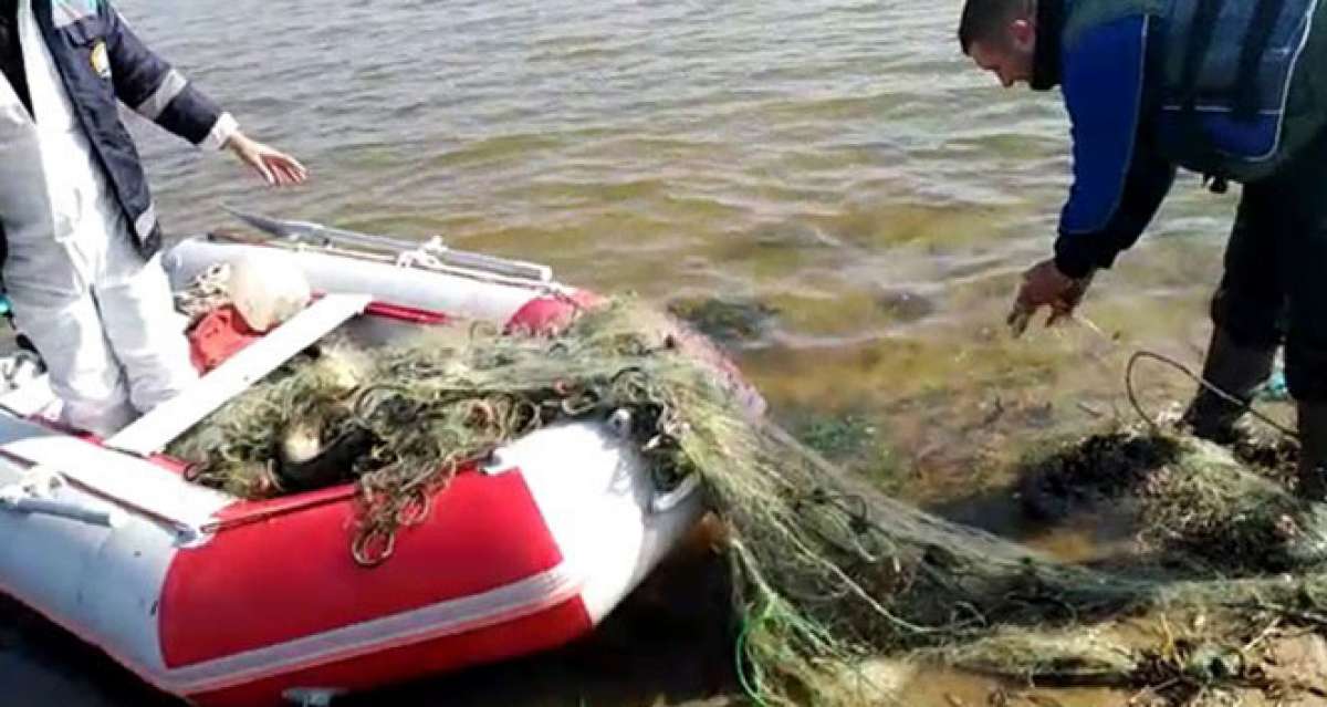 Kaçak avlanan 2 ton balık yeniden suya bırakıldı