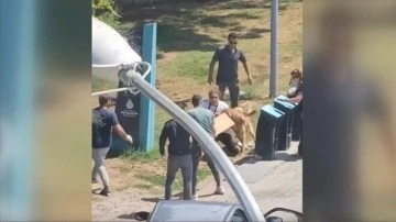 Kadıköy'de tasmasız gezdirilen köpeğin saldırısına uğrayan kadın yaralandı