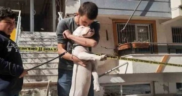 Kahraman köpek ’Dora’, deprem anında kendisini siper ederek sahiplerini korudu