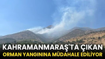 Kahramanmaraş'ta çıkan orman yangınına müdahale ediliyor