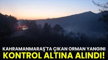 Kahramanmaraş'ta çıkan orman yangını kontrol altına alındı!