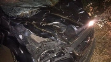 Kahramanmaraş'ta otomobil yaya ve ineklere çarptı: 1 ölü 2 yaralı