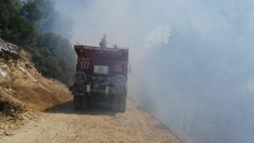 Kahramanmaraş'tan sevindiren haber: Orman yangını kontrol altına alındı!