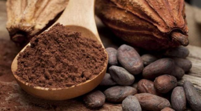 Kakao beyni hızlandırıyor