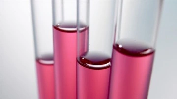 Kamunun imalat sanayisi yatırımlarında en y&uuml;ksek pay kimya sekt&ouml;r&uuml;n&uuml;n