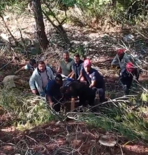 Kamyon uçuruma yuvarlandı, sürücü hayatını kaybetti