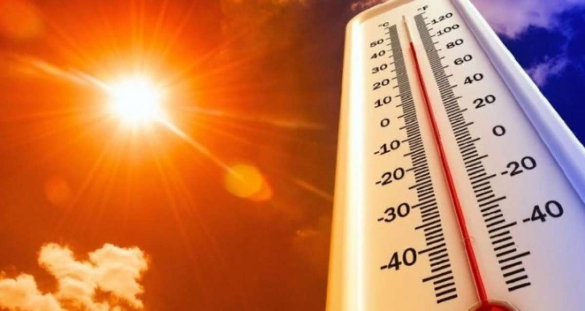 Kanada'da aşırı sıcaklar nedeniyle 233 kişinin hayatını kaybettiği tahmin ediliyor