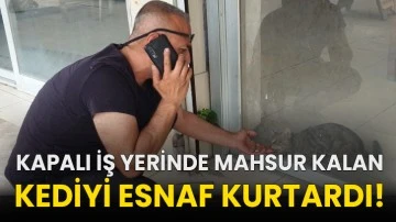  Kapalı iş yerinde mahsur kalan kediyi esnaf kurtardı!