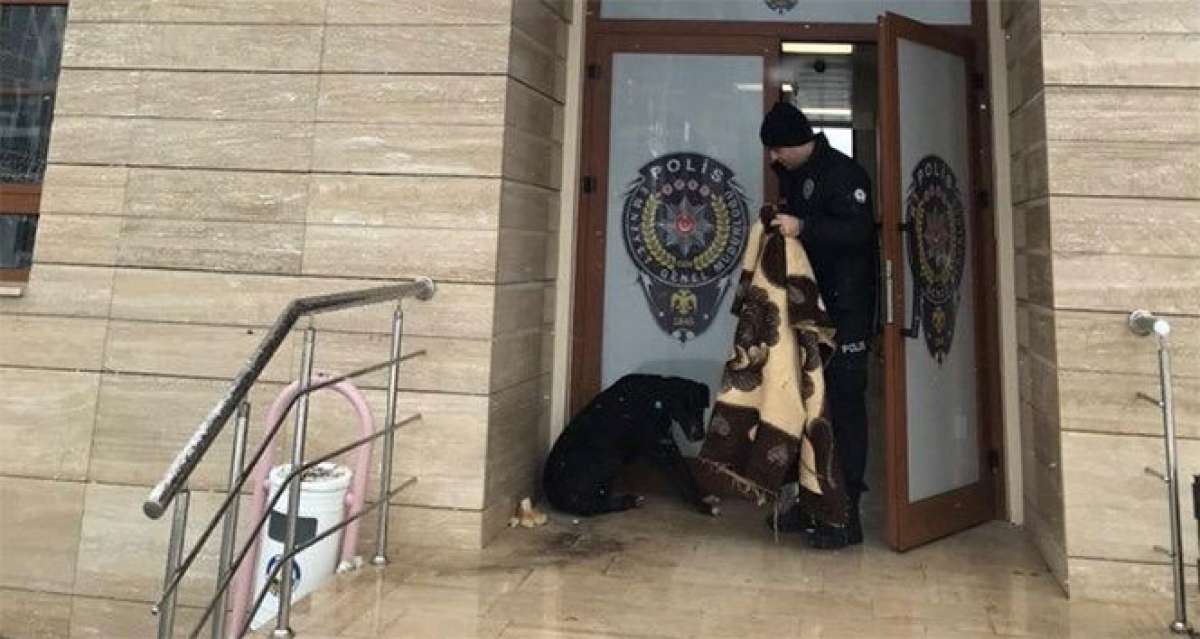 Kar yağışında üşüyen köpeğin üzerine polis battaniye örttü