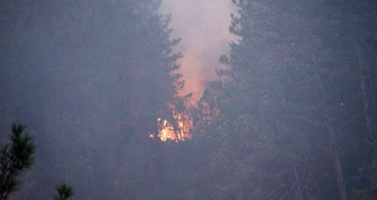 Kastamonu'da 3 ev ve ormanlık alanı kül eden yangın sürüyor