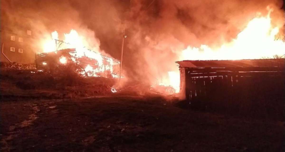 Kastamonu'da geceyi alevler aydınlattı: 2 ev, 3 ahır küle döndü