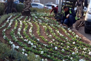 Kavşak ve ref&uuml;jlere 400 y&uuml;z bin &ccedil;i&ccedil;ek