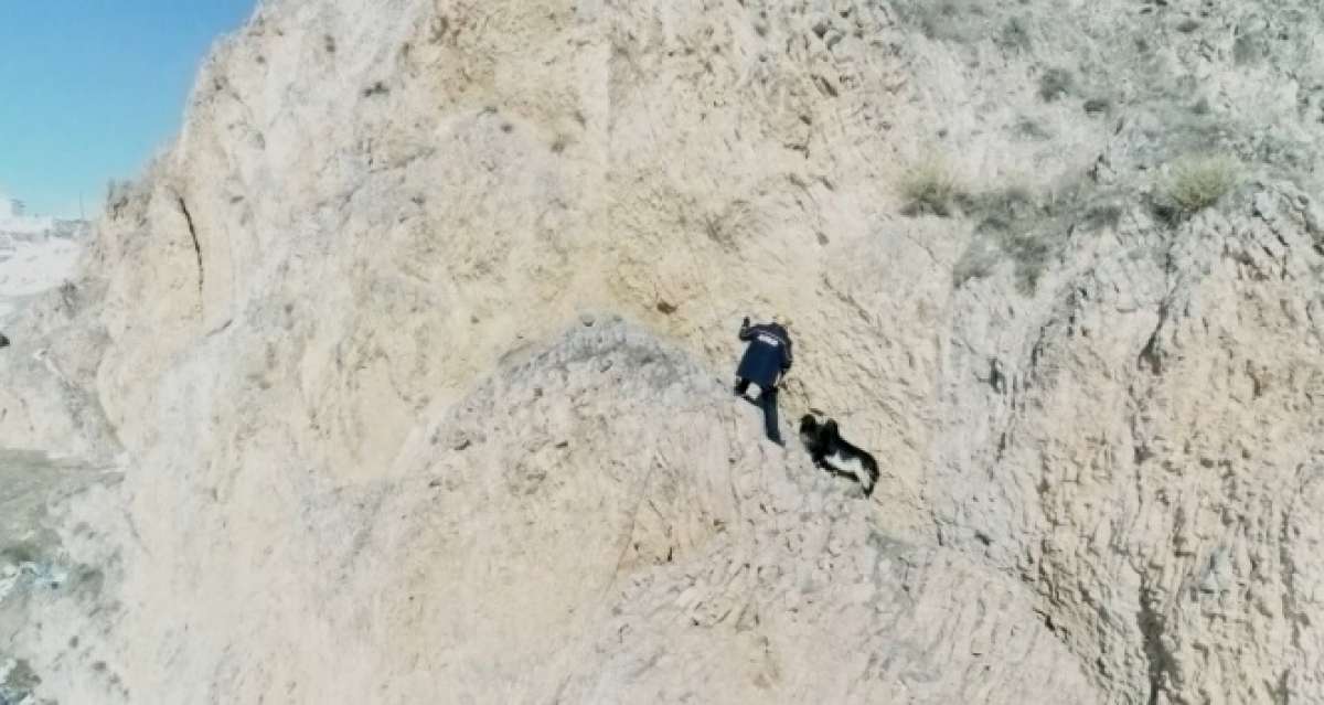 Kayalıklarda mahsur kalan keçileri AFAD kurtardı