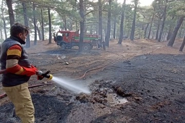 Kazdağları’nda 7 hektar ormanlık alan yangında zarar gördü