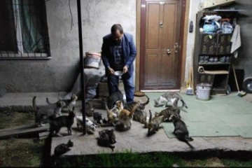 'Kedilerin babası'... Kendi imkanlarıyla tam 80 kedi besliyor