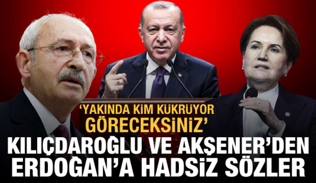 Kılıçdaroğlu ve Akşener'den Erdoğan'a hadsiz sözler! 'Yakında kim kükrüyor göreceksin