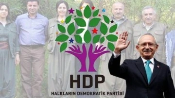 "Kılıçdaroğlu'na vasiyetimdir" diyen Doç. Dr. Palabıyık: PKK'ya destekten vazgeç